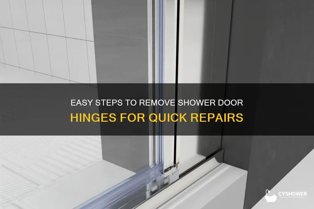 how to remove shower door hinge