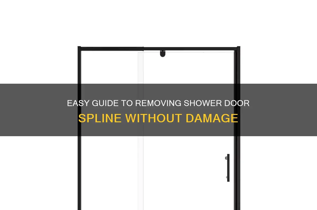 how to remove shower door spline