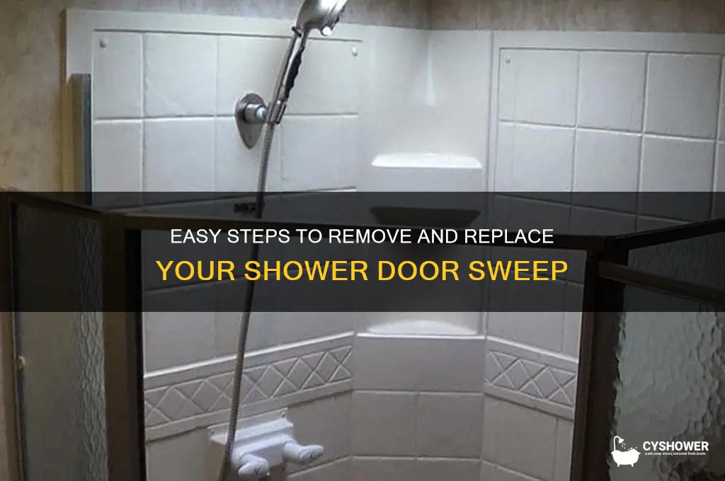 how to remove shower door sweep