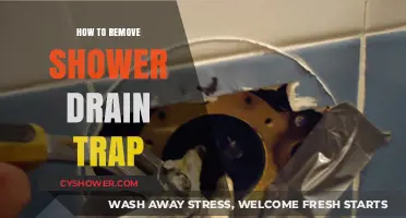 Easy Steps to Remove and Clean Your Shower Drain Trap