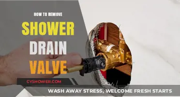 Easy Steps to Remove and Replace Your Shower Drain Valve