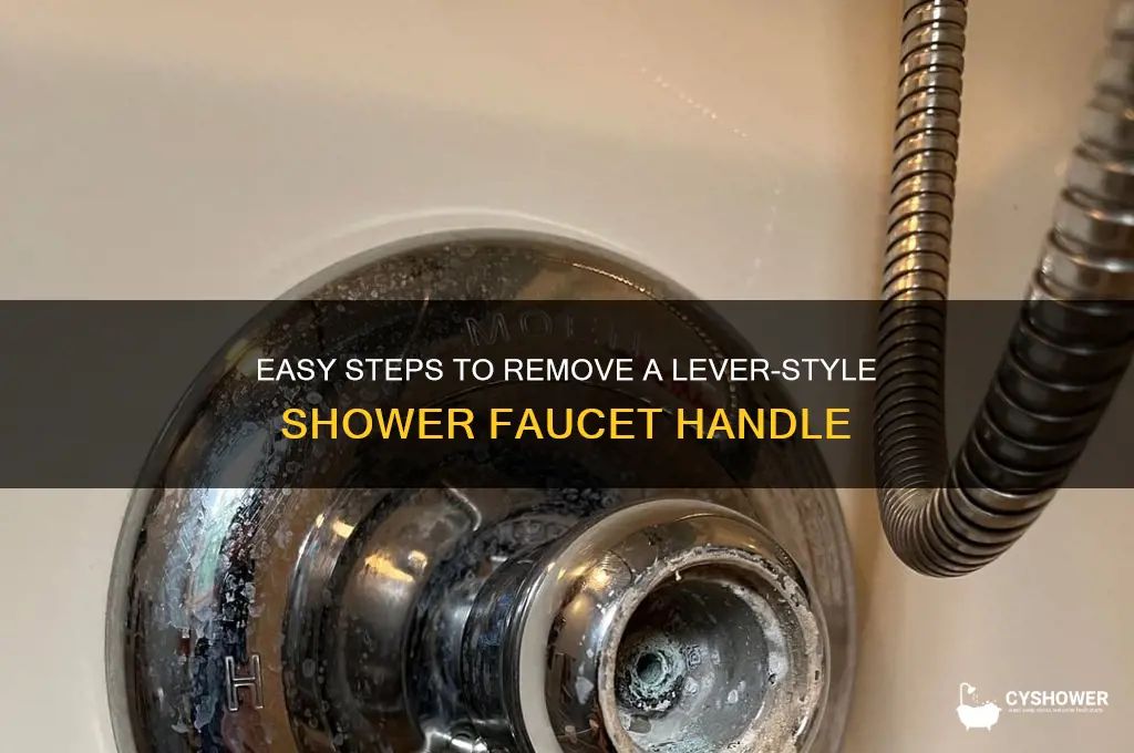 how to remove shower faucet handle lever style