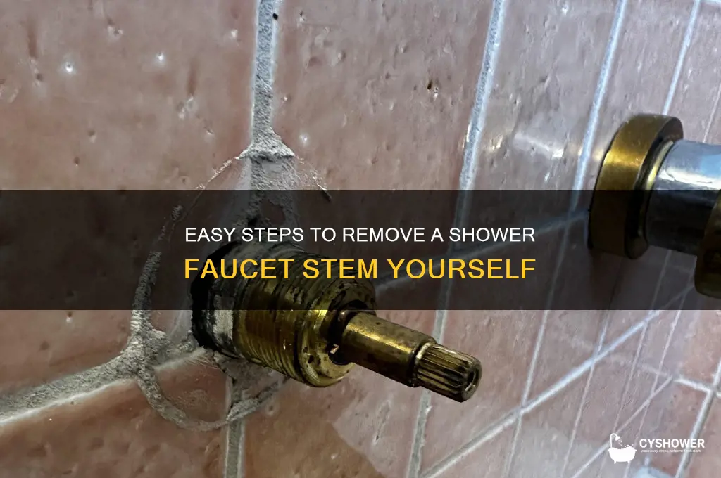 how to remove shower faucet stem