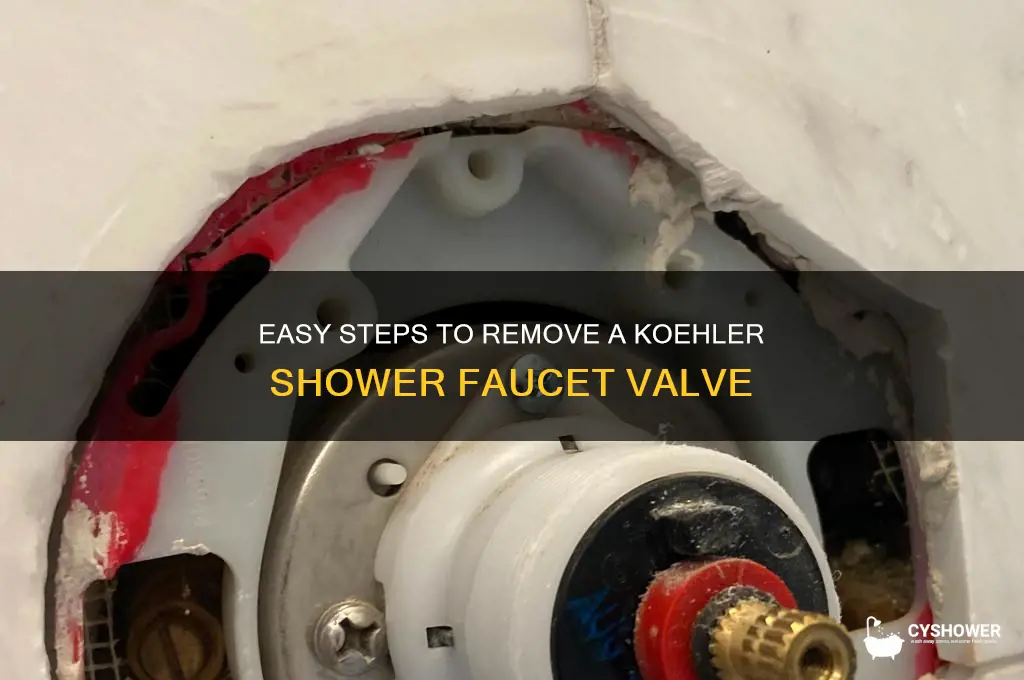 how to remove shower faucet valve koehler