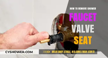 Easy Steps to Remove a Shower Faucet Valve Seat