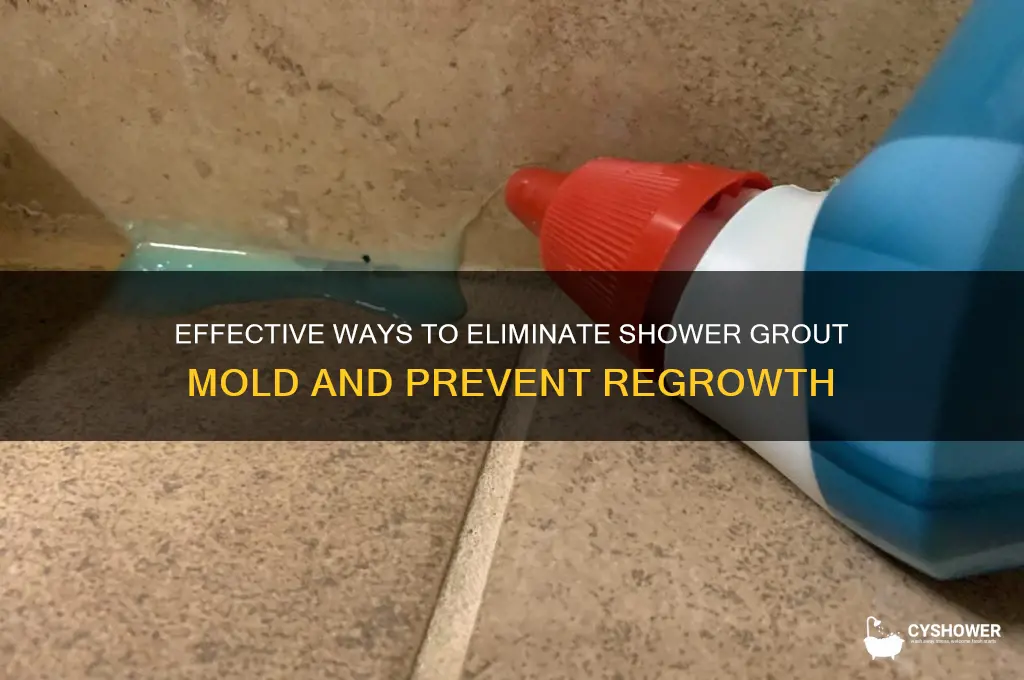 how to remove shower grout mold