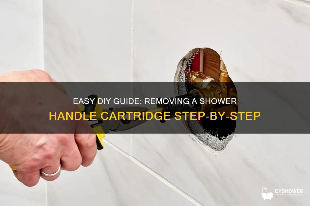 how to remove shower handle cartridge
