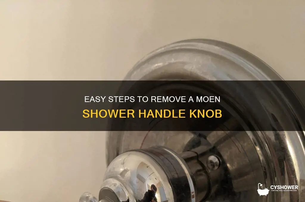 how to remove shower handle knob moen