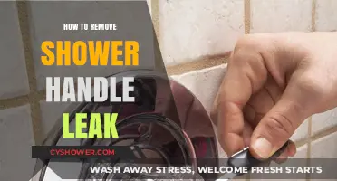Fixing a Leaky Shower Handle: Step-by-Step Repair Guide