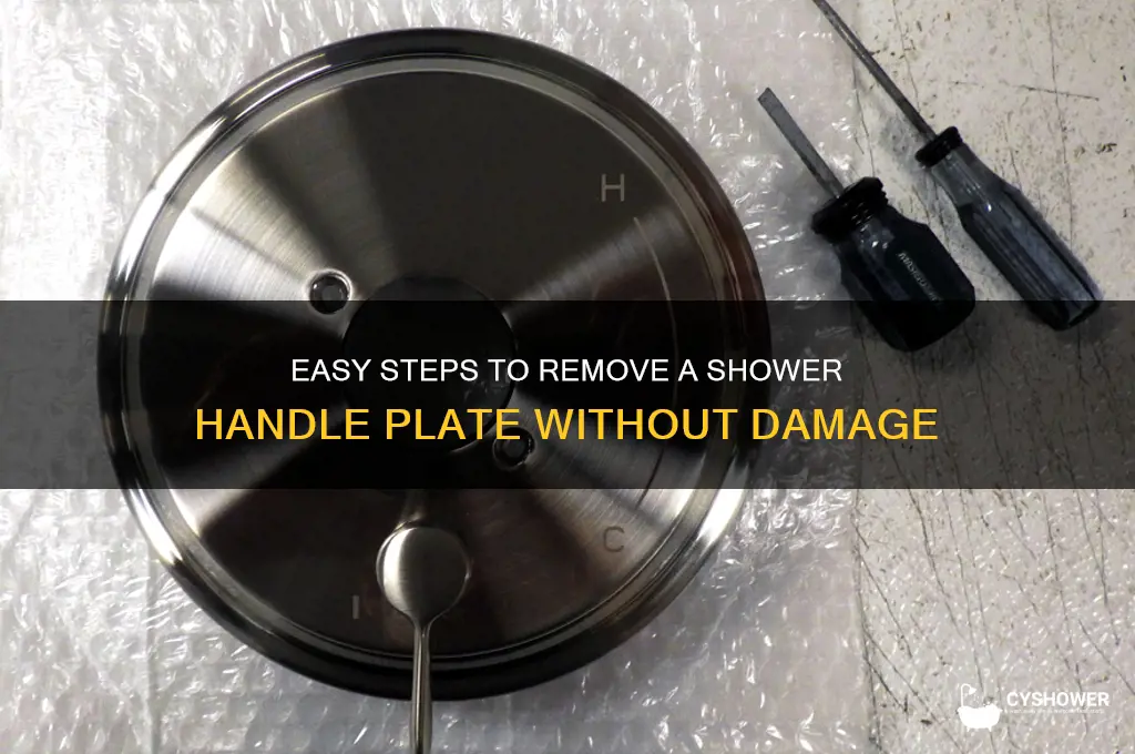 how to remove shower handle plate