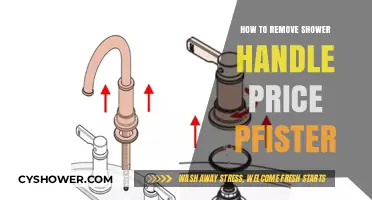 Easy Steps to Remove a Price Pfister Shower Handle