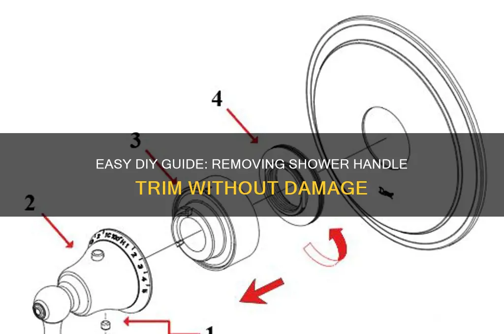 how to remove shower handle trim