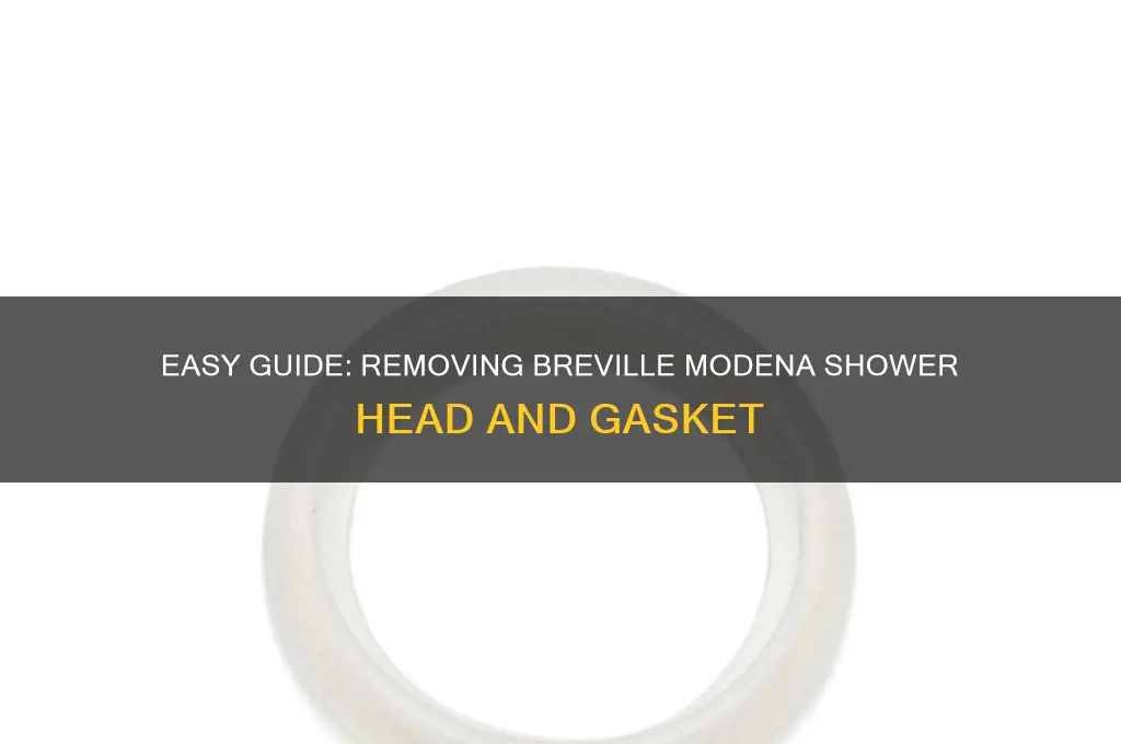 how to remove shower head and gasket on breville modena