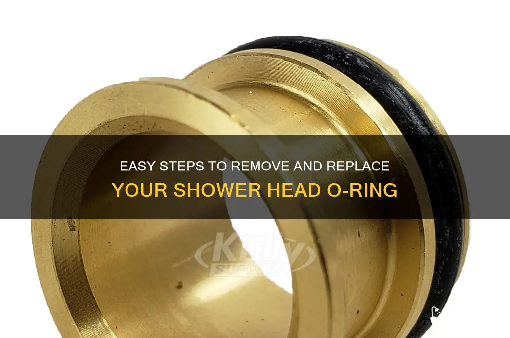 how to remove shower head oring