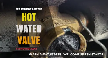 Step-by-Step Guide to Removing Your Shower Hot Water Valve