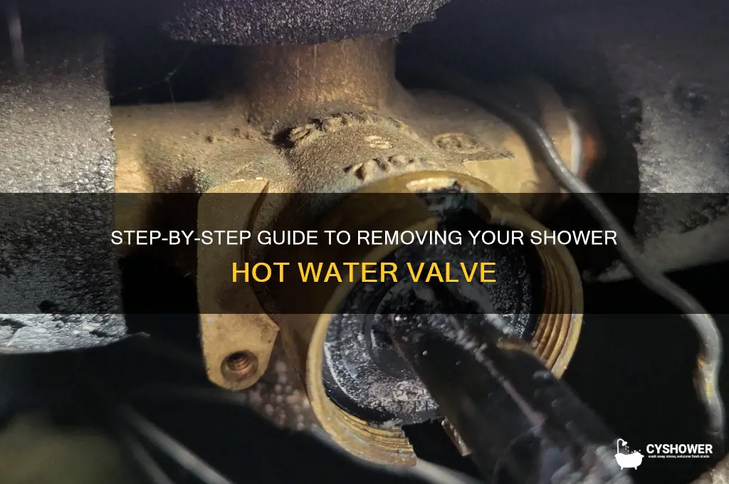 how to remove shower hot water valve
