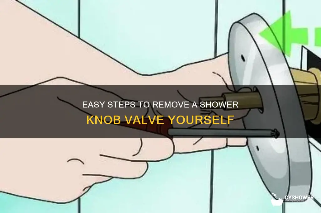 how to remove shower knob valve