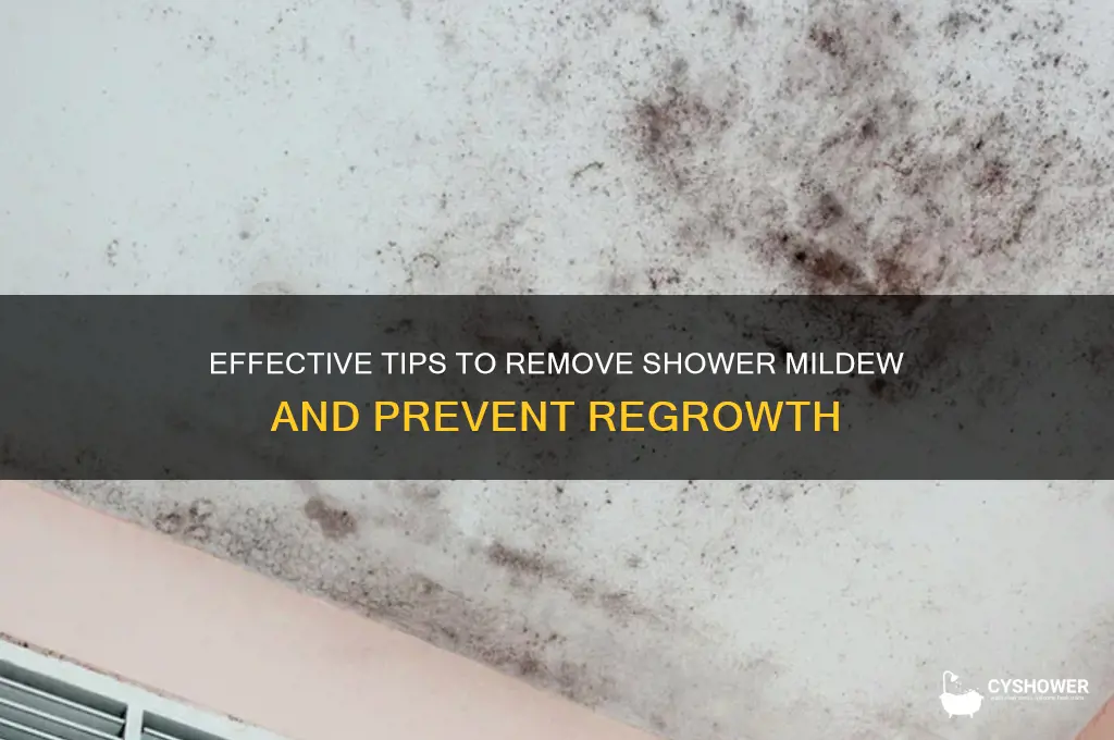 how to remove shower mildew