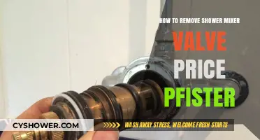 Easy Steps to Remove a Price Pfister Shower Mixer Valve