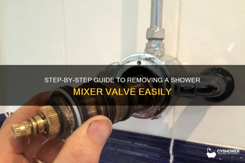 how to remove shower mixer valve