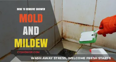 Effective Tips to Eliminate Shower Mold and Mildew Fast