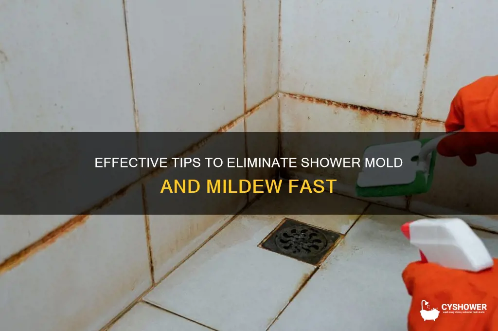 how to remove shower mold and mildew