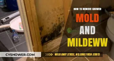 Effective Tips to Eliminate Shower Mold and Mildew Fast