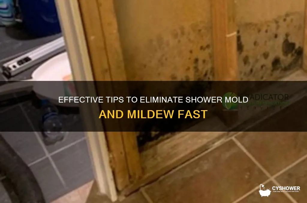 how to remove shower mold and mildeww