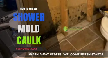Effective Tips to Remove Shower Mold Caulk and Prevent Regrowth