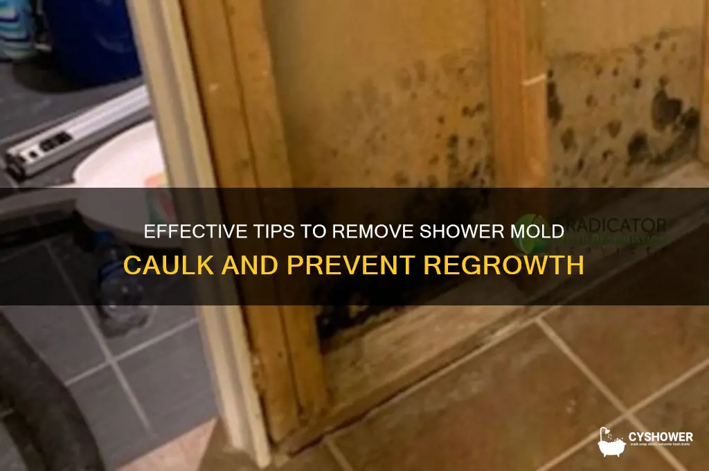 how to remove shower mold caulk