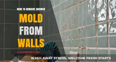 Effective Ways to Remove Shower Mold from Walls Easily