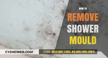Effective Tips to Eliminate Shower Mould and Prevent Regrowth