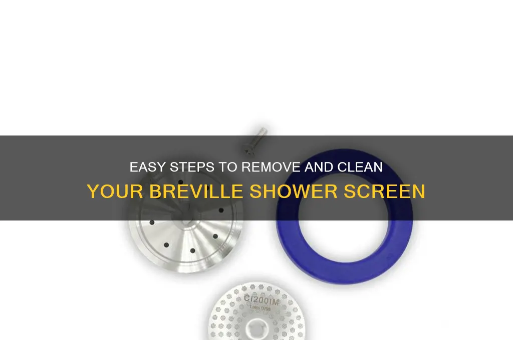 how to remove shower screen breville