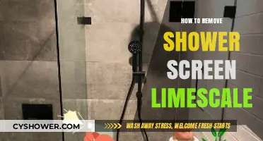 Effective Tips to Remove Shower Screen Limescale Easily and Quickly