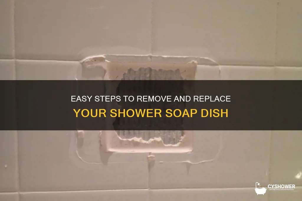 how to remove shower soap dish