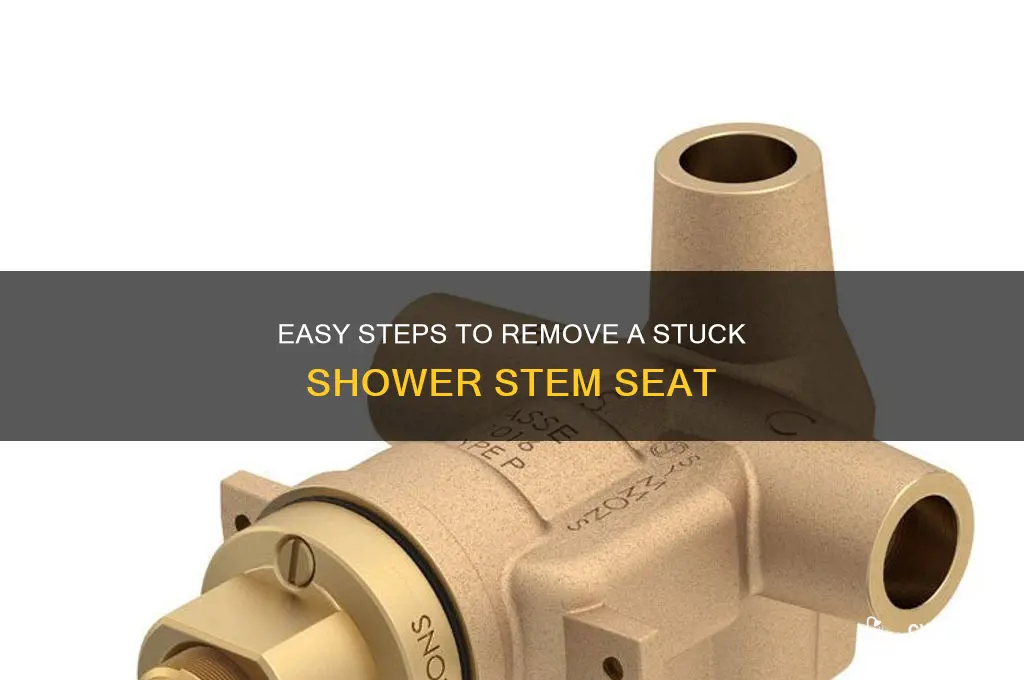 how to remove shower stem seat