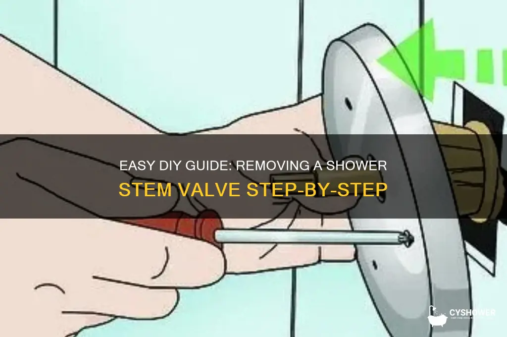 how to remove shower stem valve