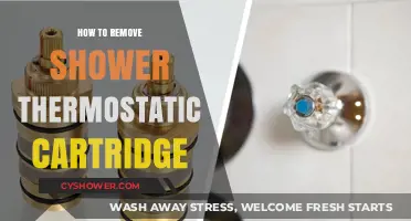 Easy Steps to Remove a Shower Thermostatic Cartridge