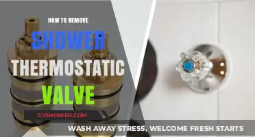 Easy Steps to Remove a Shower Thermostatic Valve