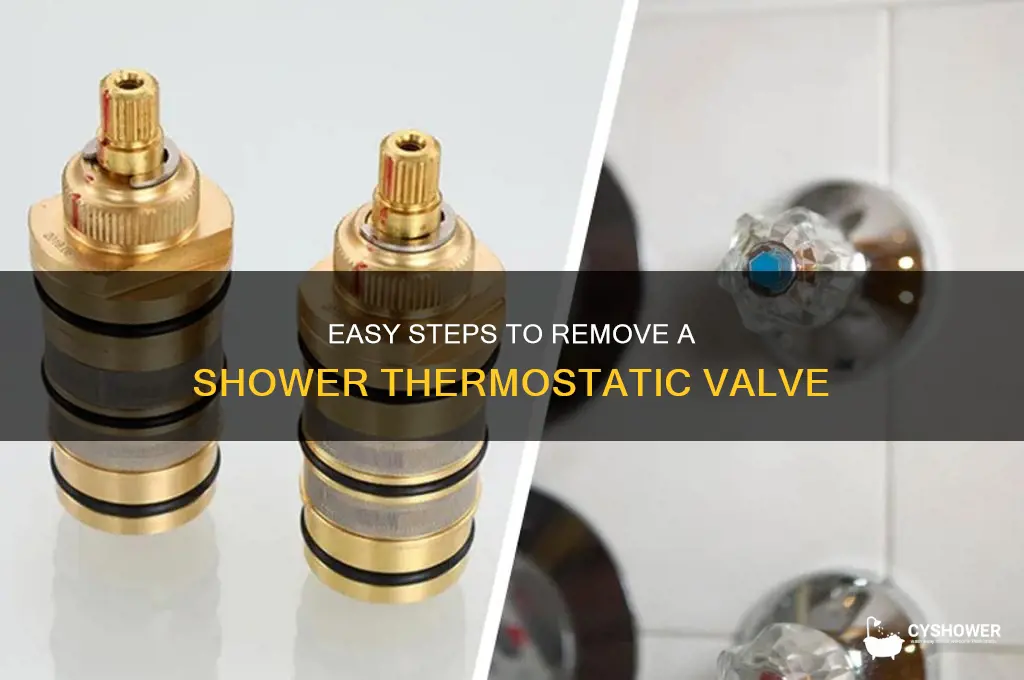 how to remove shower thermostatic valve