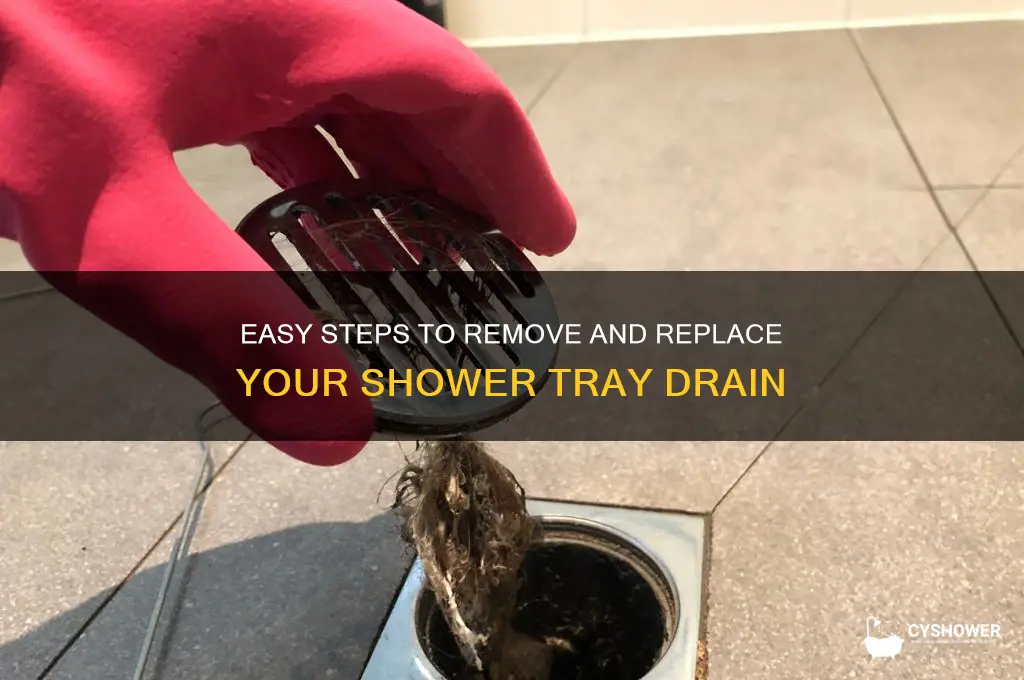 how to remove shower tray drain