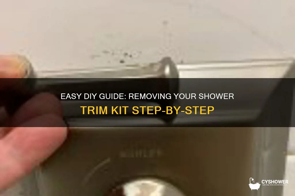 how to remove shower trim kit