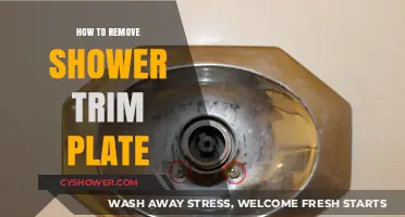 Easy Steps to Remove Your Shower Trim Plate Like a Pro