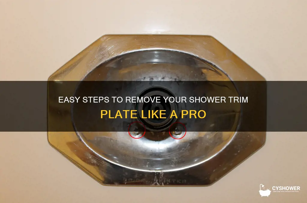 how to remove shower trim plate
