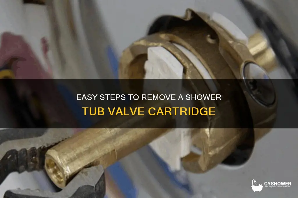 how to remove shower tub valve cartridge