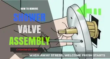 Step-by-Step Guide to Removing Your Shower Valve Assembly Easily