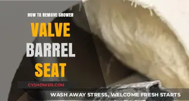Easy Guide to Removing a Shower Valve Barrel Seat
