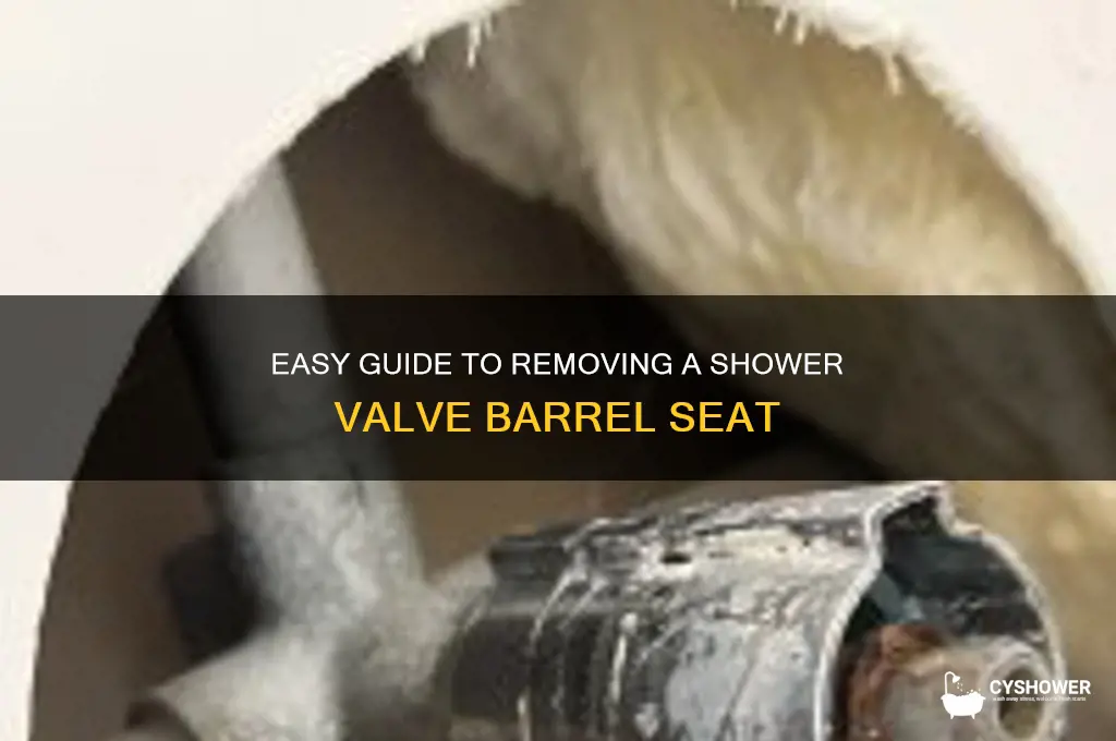 how to remove shower valve barrel seat