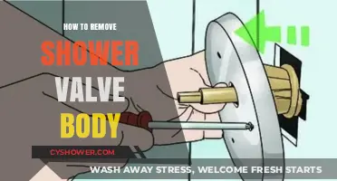 Step-by-Step Guide to Removing a Shower Valve Body Easily