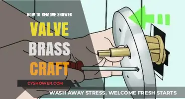 Easy Guide to Removing Brass Craft Shower Valve: DIY Steps